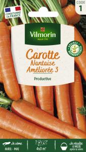 Carotte Nantaise Améliorée 3